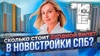 Самые дешевые квартиры в новостройках Санкт-Петербурга#12