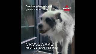 BISSELL CrossWave HydroSteam Pet Pro