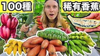 [ENG SUB] I Bet You’ve Never Seen These Bananas! This Place Has More Than 100 Types Of Bananas