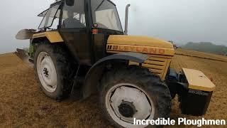 1981 Leyland 804 Synchro 4WD 3.8 Litre 4-Cyl Diesel Tractor (82 HP) With Dowdeswell Plough