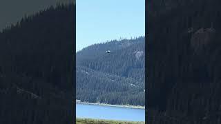 Navy EA-18G Growler flying low in Washington State. #fighterjet #EA18G #aviation #planespotting