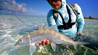 Incredible Bone Fishing in Super Shallow Crystal Clear  Water!