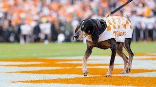 Tennessee Traditions: Smokey