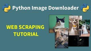 Download Images With Python Automatically - Python Web Scraping Tutorial