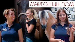 HORSE Обзор №3 "В гостях у Шоу Фьордов - Маргошин дом" | Работа с лошадью в руках |Норвежские фьорды