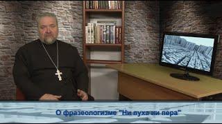 "Одним словом" о фразеологизме "Ни пуха ни пера"