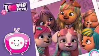 ¡A por el RÉCORD!  VIP PETS  Nuevo Episodio  NUEVA SERIE  Vídeos para niños en ESPAÑOL