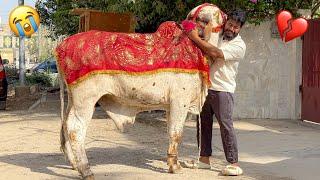 AKHRI MULAKAAT  LAST DAY  | SYED FAHAD