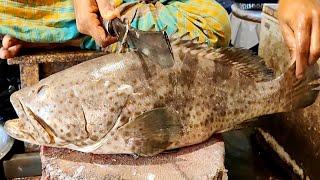 Amazing Small Giant Grouper Fish Cutting Skills In Bangladesh Fish Market | Fish Cutting skills