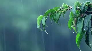 Relaxing Rain Sound With Piano Music For Sleeping - Sleep and Relax with Soothing Melodies