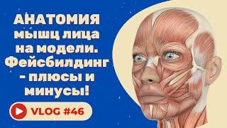 #46 Анатомия мышц лица на модели. Фейсбилдинг - плюсы и минусы!