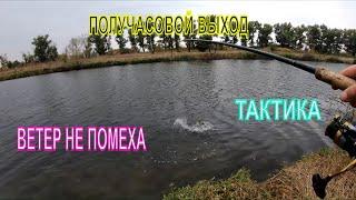 ЩУКА НА СПИННИНГ В ОКТЯБРЕ ТАКТИКА ЛОВЛИ