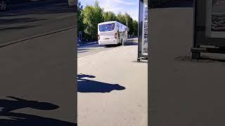 автобус || паз вектор некст ||