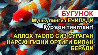 Ушбу дуони тинглаб Аллохдан ихлос билан сўранг СИЗ КУТМАГАН ЖОЙДАН БОЙЛИК ОҚИБ КЕЛАДИ ИН ШАА АЛЛОХ.