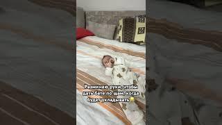 Как уложить спать младенца #младенец #семья #новорожденный