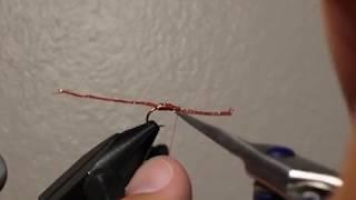 Sparkle Worm with Mike Anderson