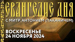 Толкование Евангелия с митр. Антонием (Паканичем). Воскресенье, 24 ноября 2024 года.