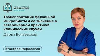 Трансплантация фекальной микробиоты и ее значение в ветеринарной практике. Лектор Дарья Богаевская