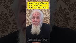 Зачатие ребёнка при помощи ЭКО и мама-донор это грех? Отец Игорь Мухин (Годеново)