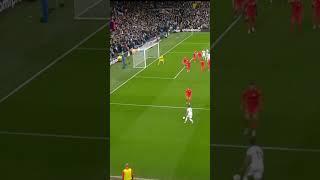 Jack Harrison Goals | Leeds vs Brighton | Leeds United News