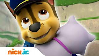 Psi Patrol | Pieski potrzebują twojej pomocy! — część 1 | Nick Jr.