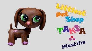 Littlest Pet Shop Taks -  Plastilin   Такса Литл Пет Шоп из пластилина