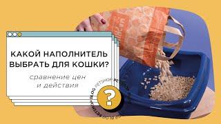 Какой наполнитель выбрать для кошачьего туалета? Сравнение наполнителей и цен