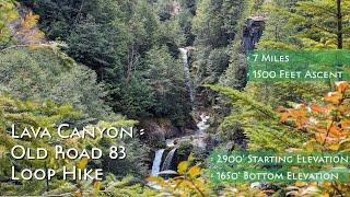 Lava Canyon - Old Road 83 Loop Hike Guide | Cougar, Washington