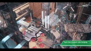 Filling of dairy products by 2-row cup-filling machine PASTPAK R2