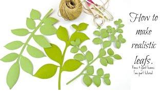 Paper Flower Leaf & Vines