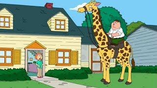 Peter has New Pet