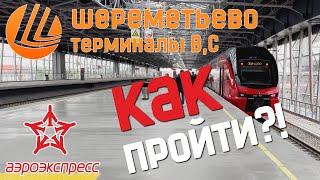 КАК ПРОЙТИ В НОВУЮ СТАНЦИЮ АЭРОЭКСПРЕССА?! АЭРОПОРТ ШЕРЕМЕТЬЕВО ТЕРМИНАЛЫ В и С.