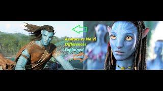 What are the differences between the Avatar hybrids and the Na'vi?