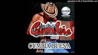 CUMBIA BUENA (DJ BK STORM MASHUP) "U GOT A FAT @SS AND I WANNA TOUCH IT"