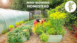 Self-Reliant Couple Growing 80% of Their Food on an Incredible Off-Grid Homestead!