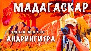 Приключения с лемурами в горах Мадагаскара.