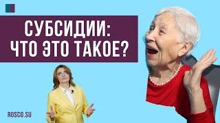 Субсидии: что это такое?