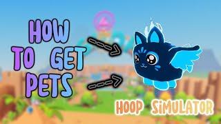 HOW to get pets  in HOOP SIMULATOR!!!