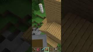 #minecraft #fyp