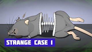 Room Escape: Strange Case · Free Game · Walkthrough