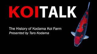 Koi Talk Series Vol. 7: Featuring Kodama Koi Farm - Our History