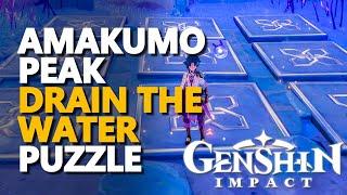 Amakumo Peak Puzzle Genshin Impact (Drain The Water)