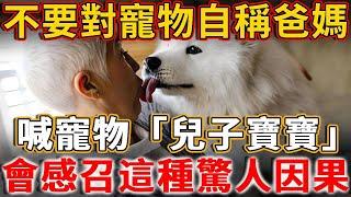 太可怕了！千萬不要把寵物叫「兒子、寶寶」，自稱爸爸媽媽！會感召這種驚人的果報！真的不是迷信！#禪語 #一禪語 #因果 #果報#寵物