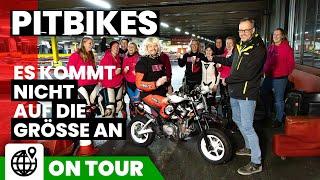 Es kommt NICHT auf die GRÖßE an - warum Pitbikes genauso viel Spaß machen wie ein Motorrad