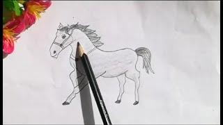 A Beginner's Guide to Drawing Horses I Little Sketch Diary