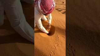 The Desert's Secret Fish 