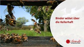 Binder am Bienenvolk - er wütet über die Kellerhaft