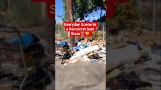#News #politics #Democrats #California #reaction #Trash