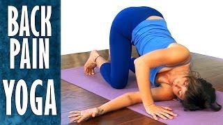 Yoga Stretches for Back Pain Relief, Sciatica, Neck Pain & Flexibility, Beginners Level Workout