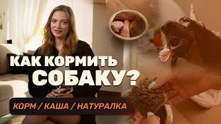 Как кормить собаку? Корм, каши, натуралка — что выбрать?